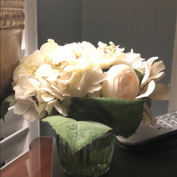 Meet your Posher, Nancy - Picture 3 of 3